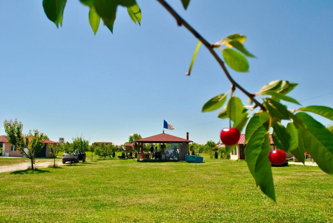 Camping La Foisor ทูร์ดา ภายนอก รูปภาพ